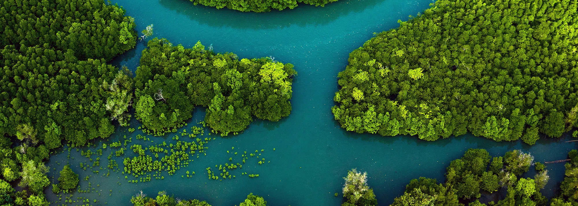 2nd party food safety supplier audit